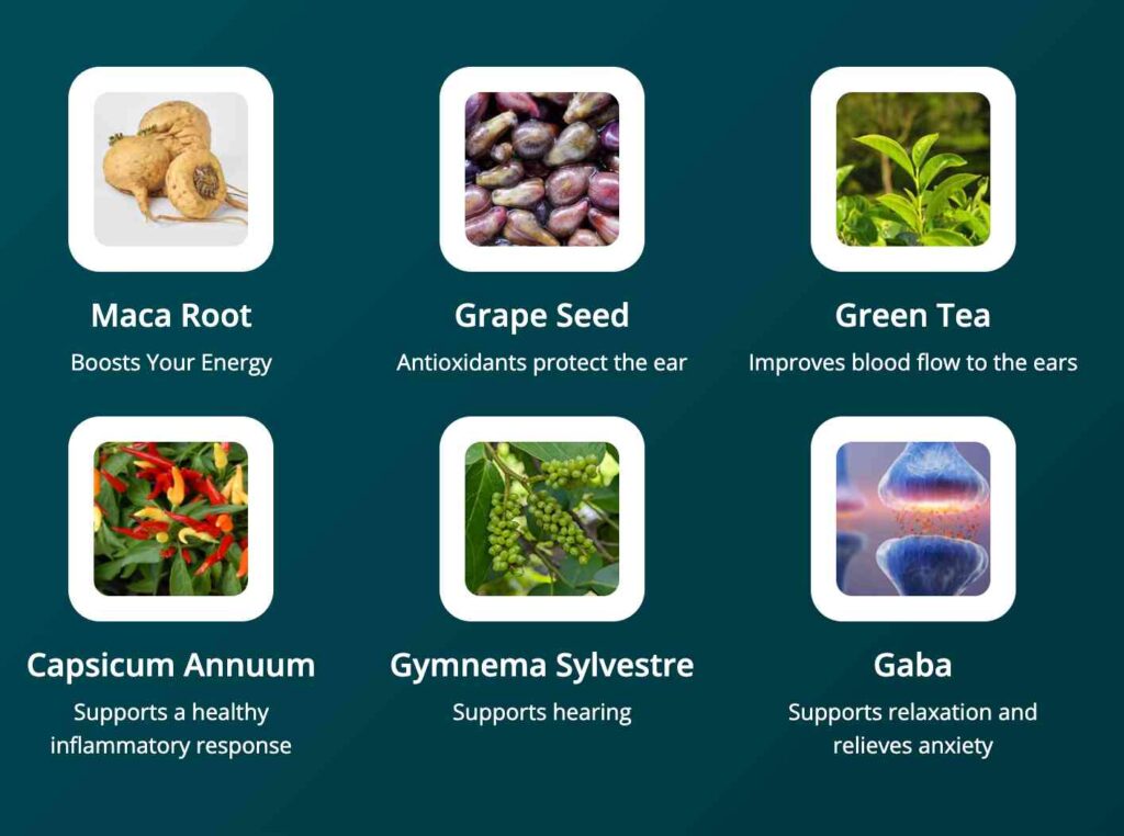 audiofort ingredients